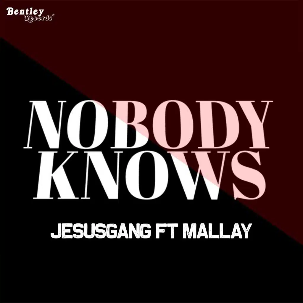 Nobody Knows (feat. Mallay)