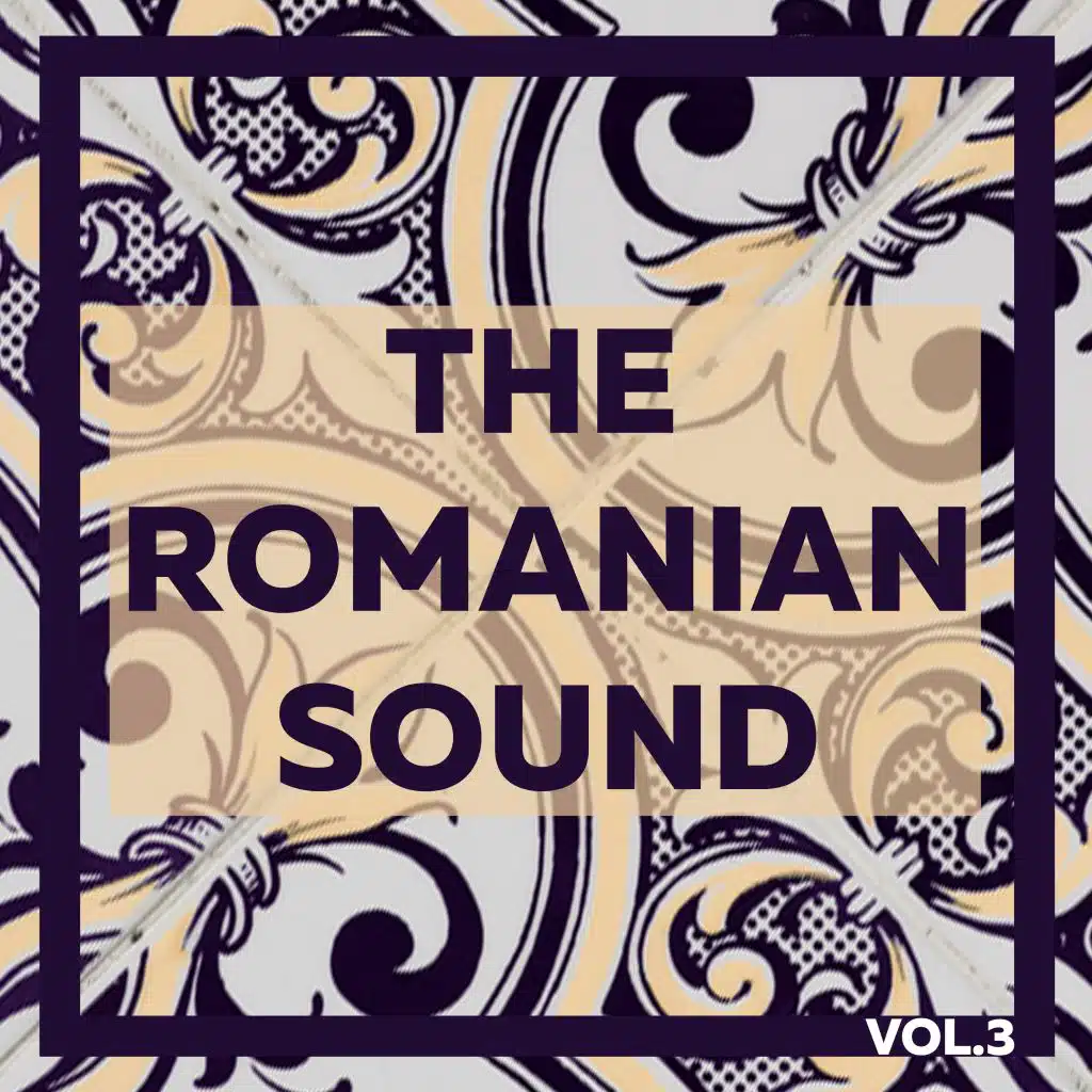 The Romanian Sound, Vol. 3 - Great Selection of Minimal House