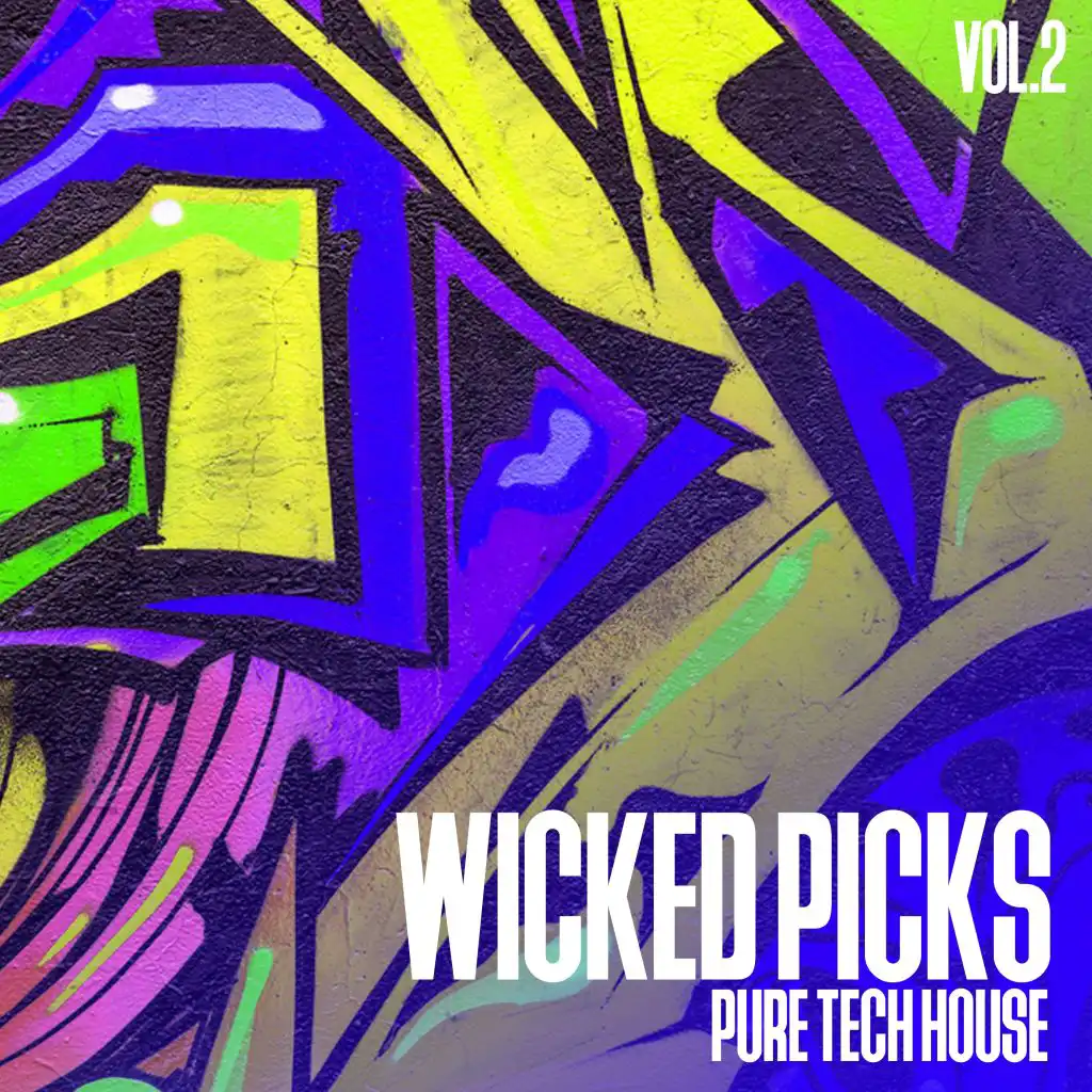 Wicked Picks, Vol. 2 - 100% Pure Tech House