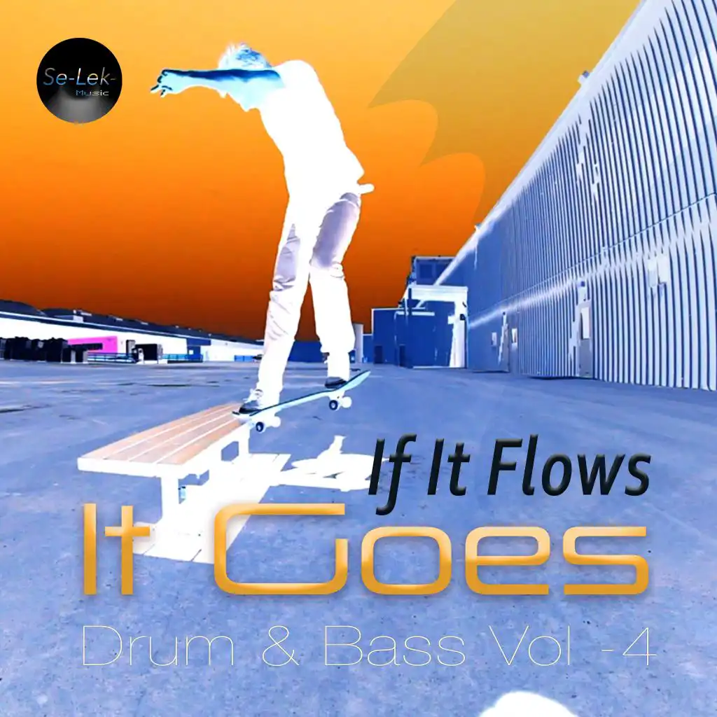 If It Flows It Goes, Vol. 4