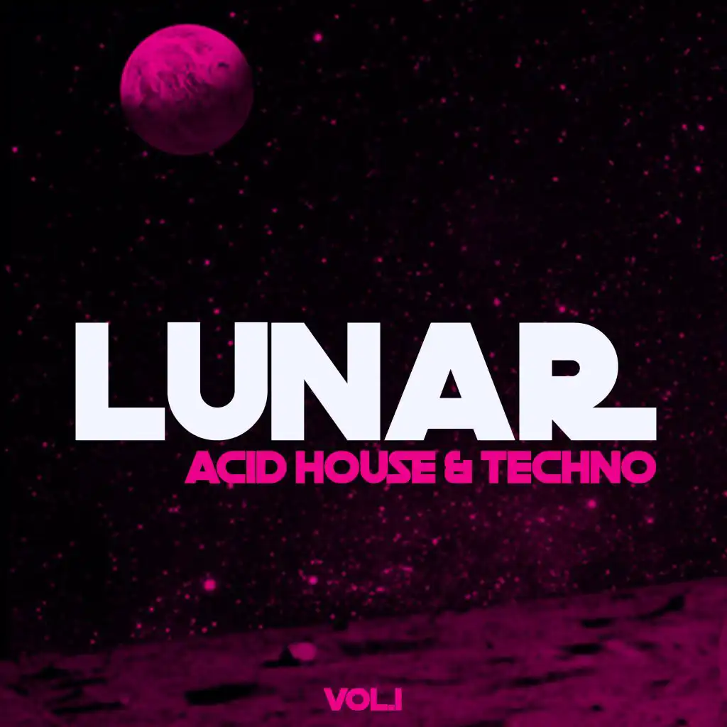 Lunar Acid House & Techno, Vol. 1