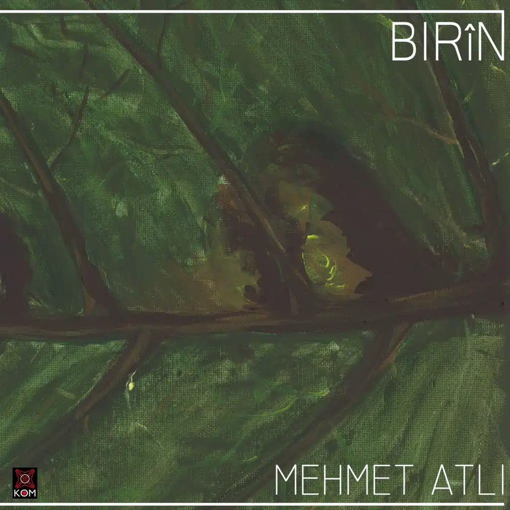 Birîn