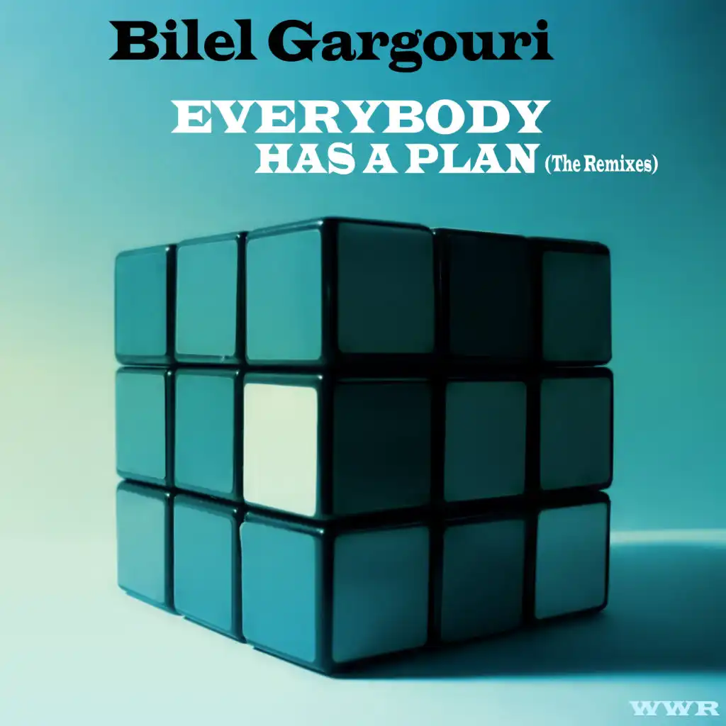 Everybody Has A Plan (Instrumental Mix)