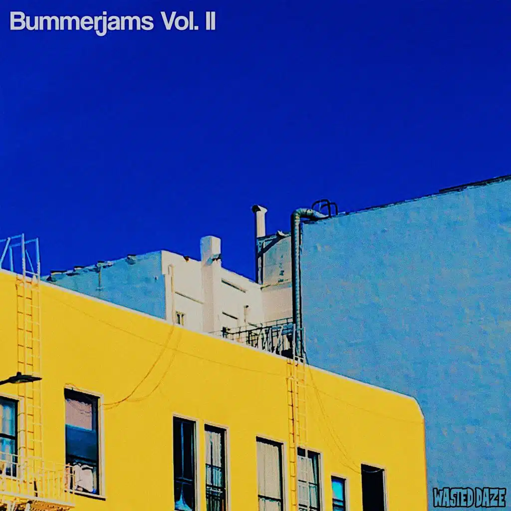 Bummerjams, Vol. II