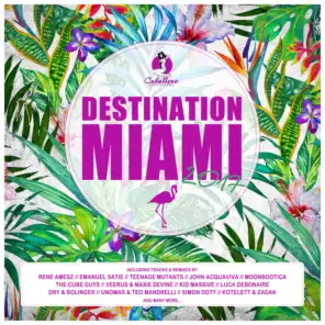 Destination: Miami 2017