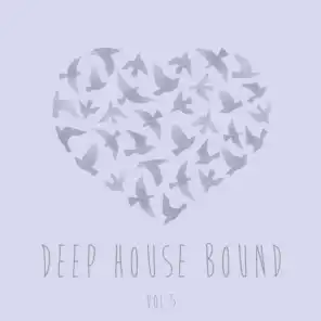 Deep House Bound, Vol. 5