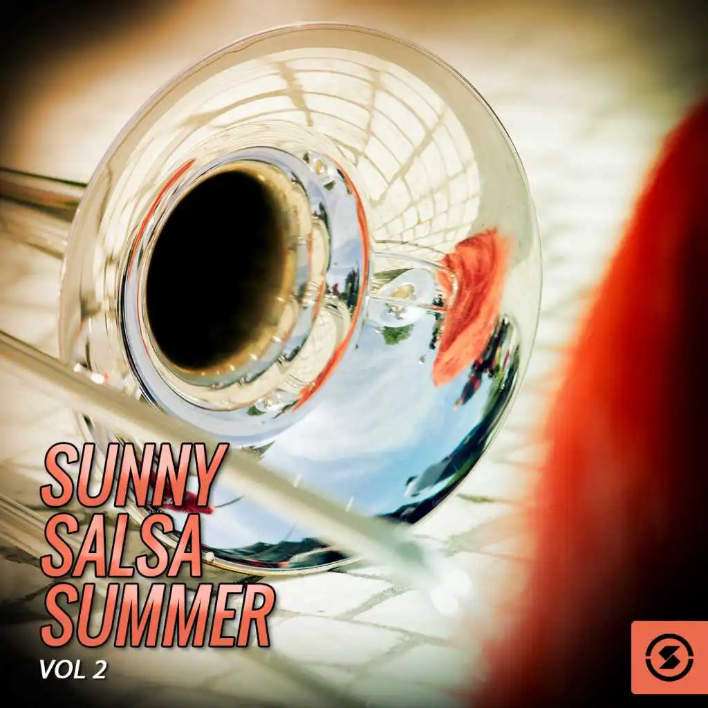 Sunny Salsa Summer, Vol. 2