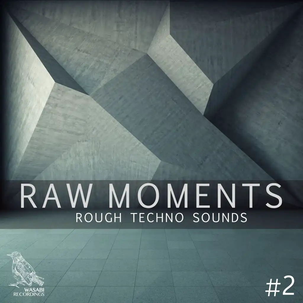 Raw Moments, Vol. 2 - Rough Techno Sounds