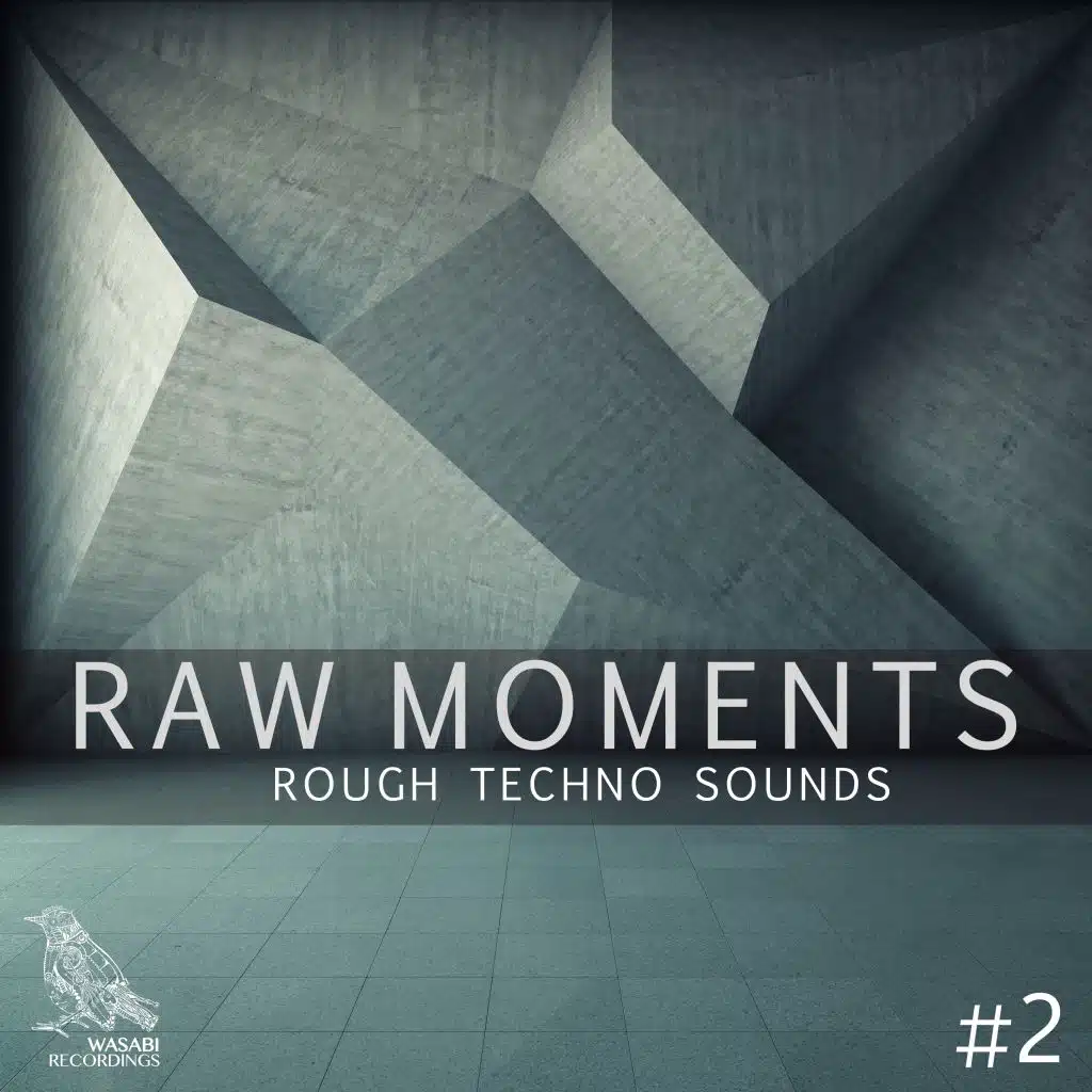 Raw Moments, Vol. 2 - Rough Techno Sounds