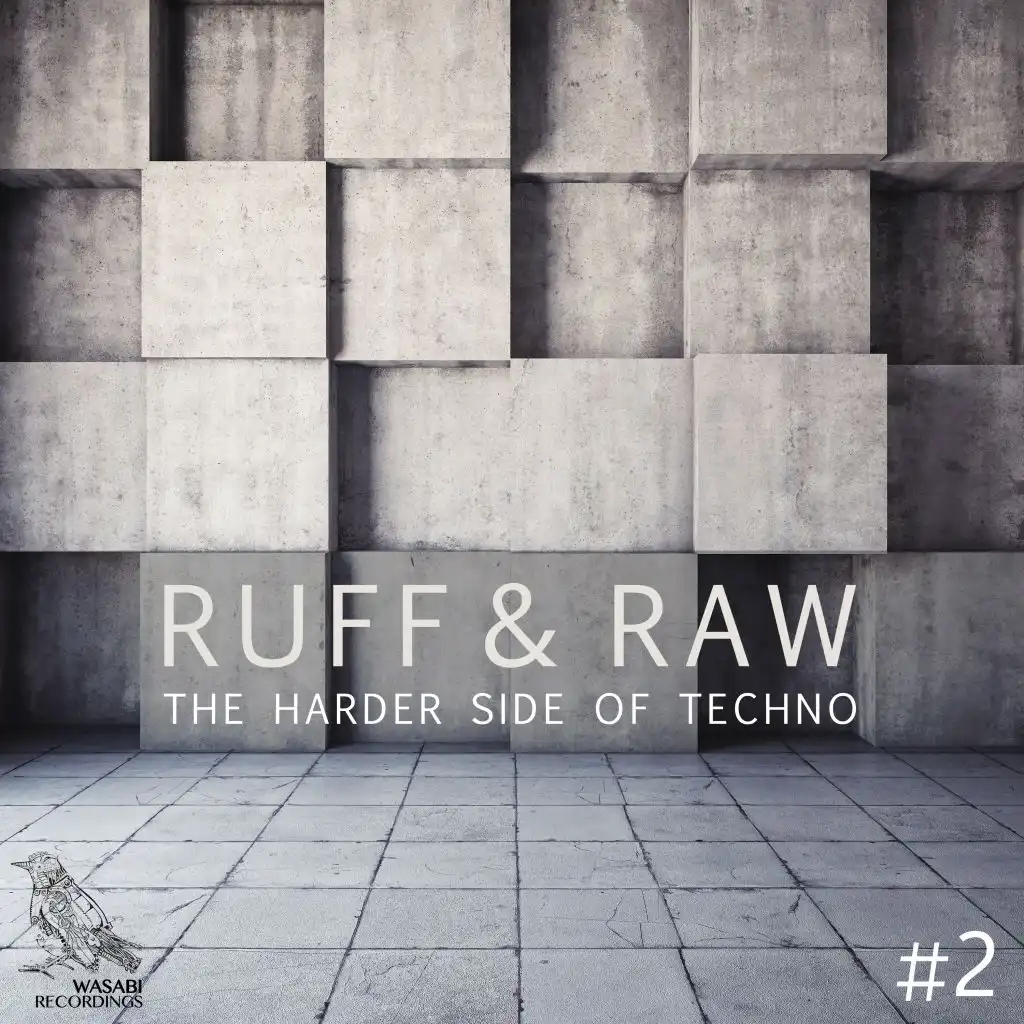 Ruff & Raw, Vol. 2 - The Harder Side of Techno