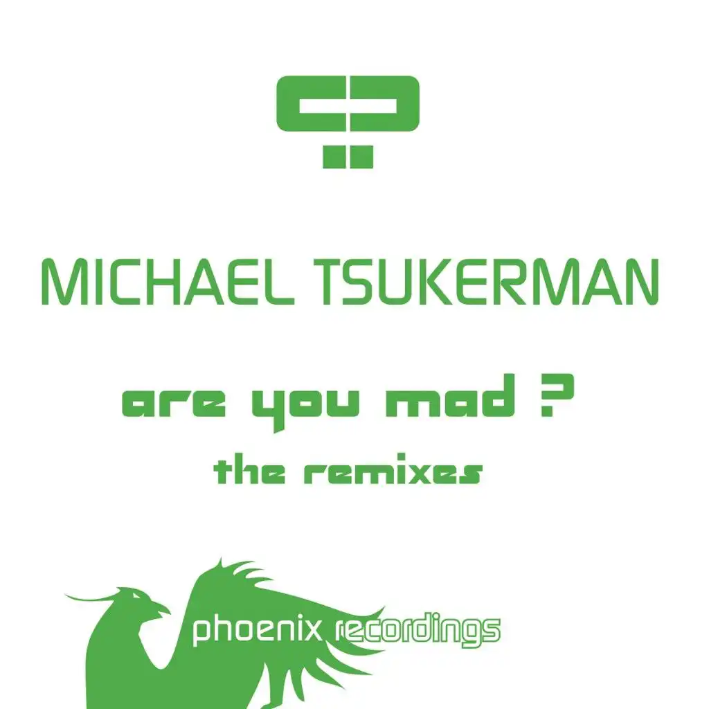 Are You Mad? (P.H.A.T.T. Remix)