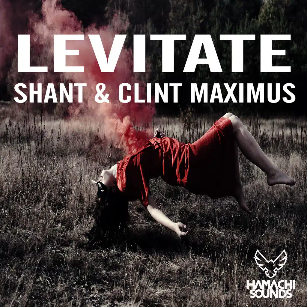 Levitate (Radio Edit)