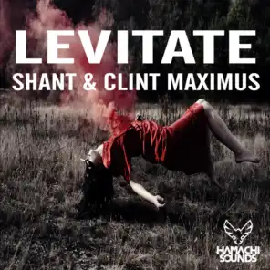 Levitate (Radio Edit)
