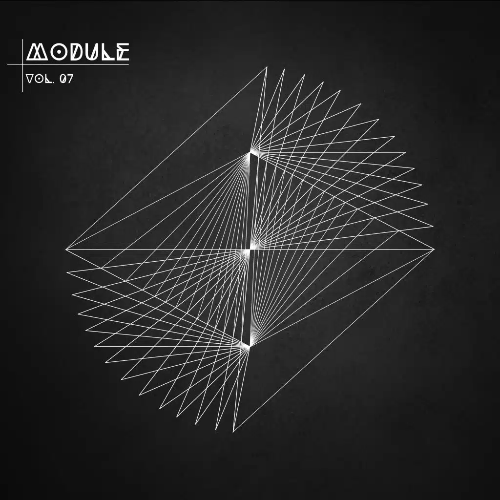Module, Vol. 07