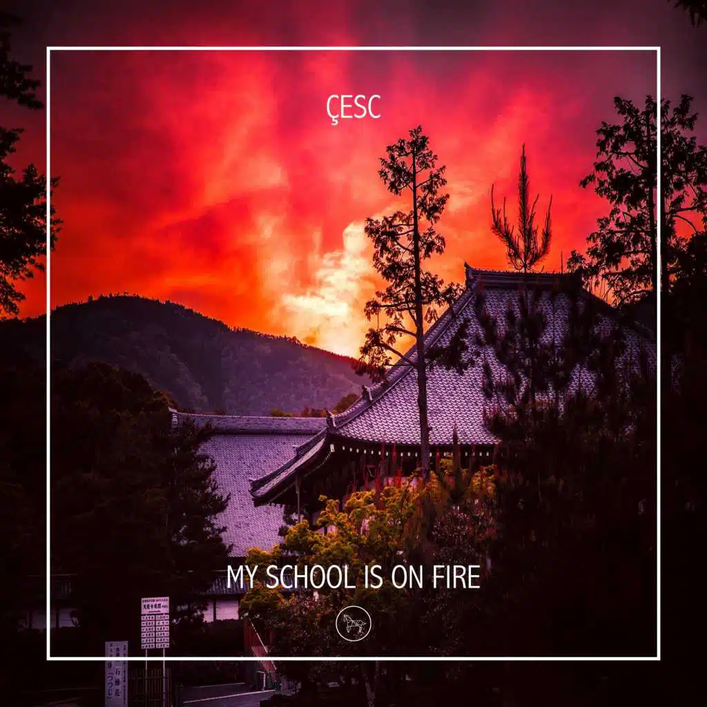 My School Is On Fire