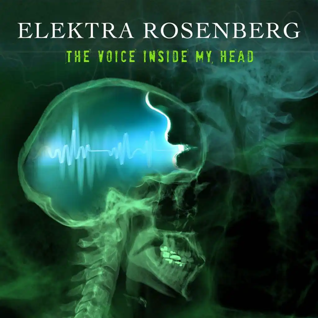 Voice Inside My Head (Mike Debueser Remix)