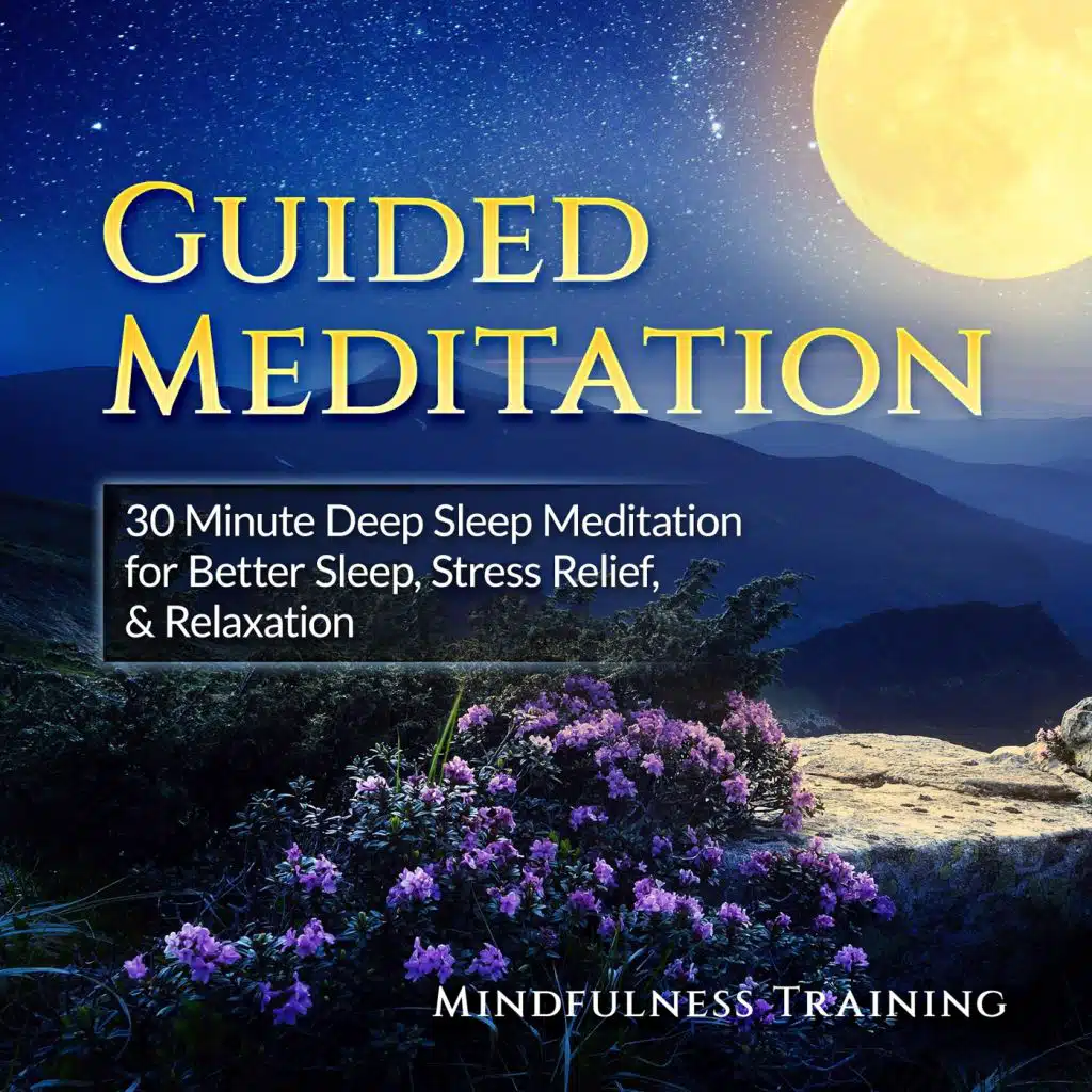 Guided Meditation: Deep Sleep Meditation for Better Sleep, Stress Relief & Relaxation