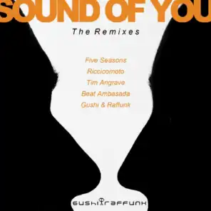 Sound of You (Tim Angrave Sunshine Remix)