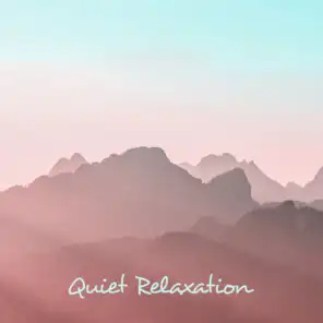 Quiet Relaxation: Gentle Sounds to Rest, Soothing Melodies to Relax, Music for Moments of Relaxation, De-stressing New Age Tracks