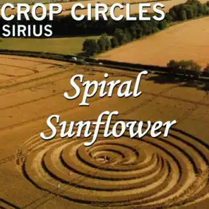 Crop Circles: Spiral Sunflower