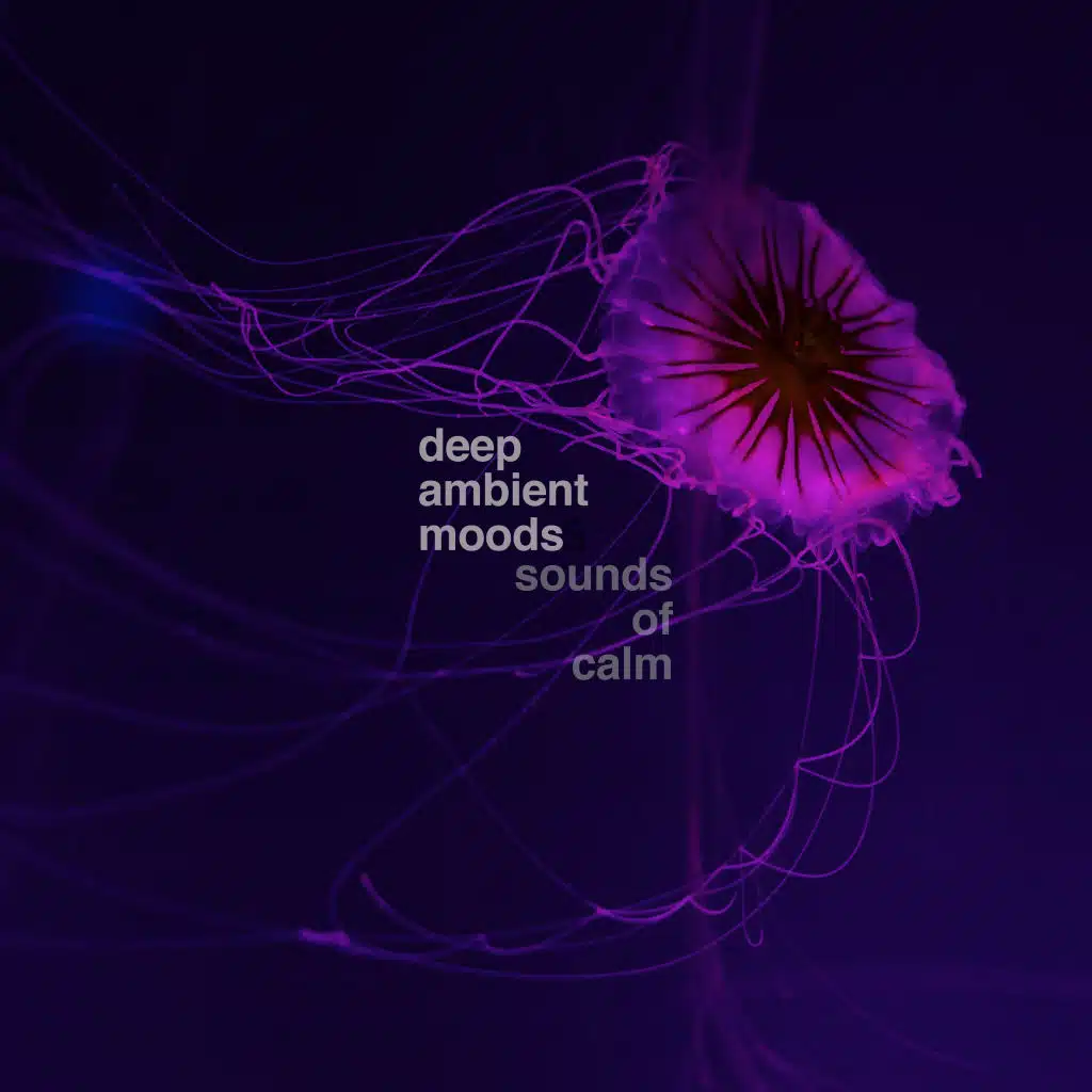 Deep Ambient Moods, Vol. 1: Sounds of Calm