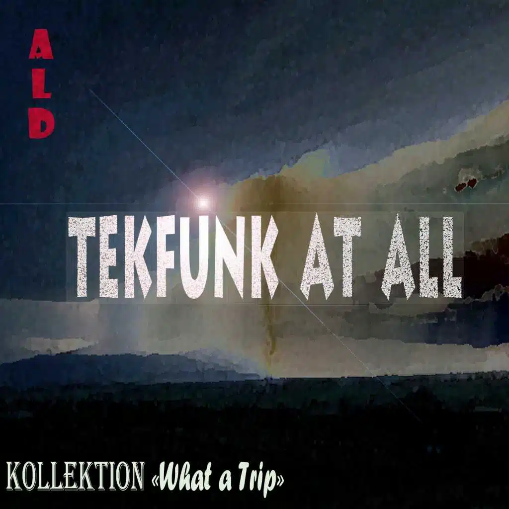 Tekfunk at All (Kollektion What a Trip)
