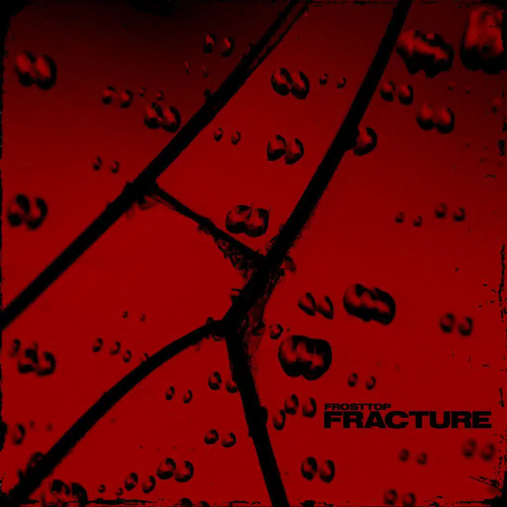 Fracture