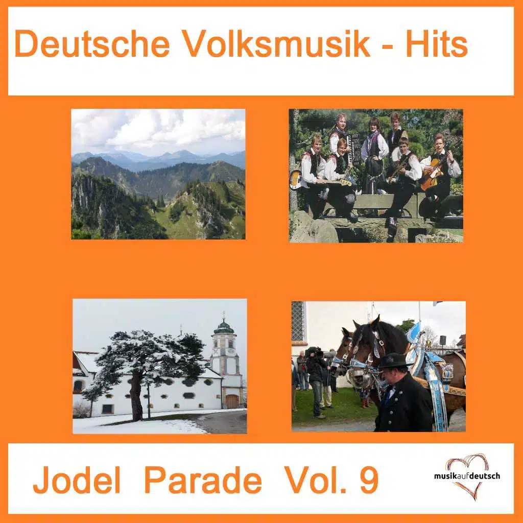 Deutsche Volksmusik-Hits: Jodel Parade, Vol. 9