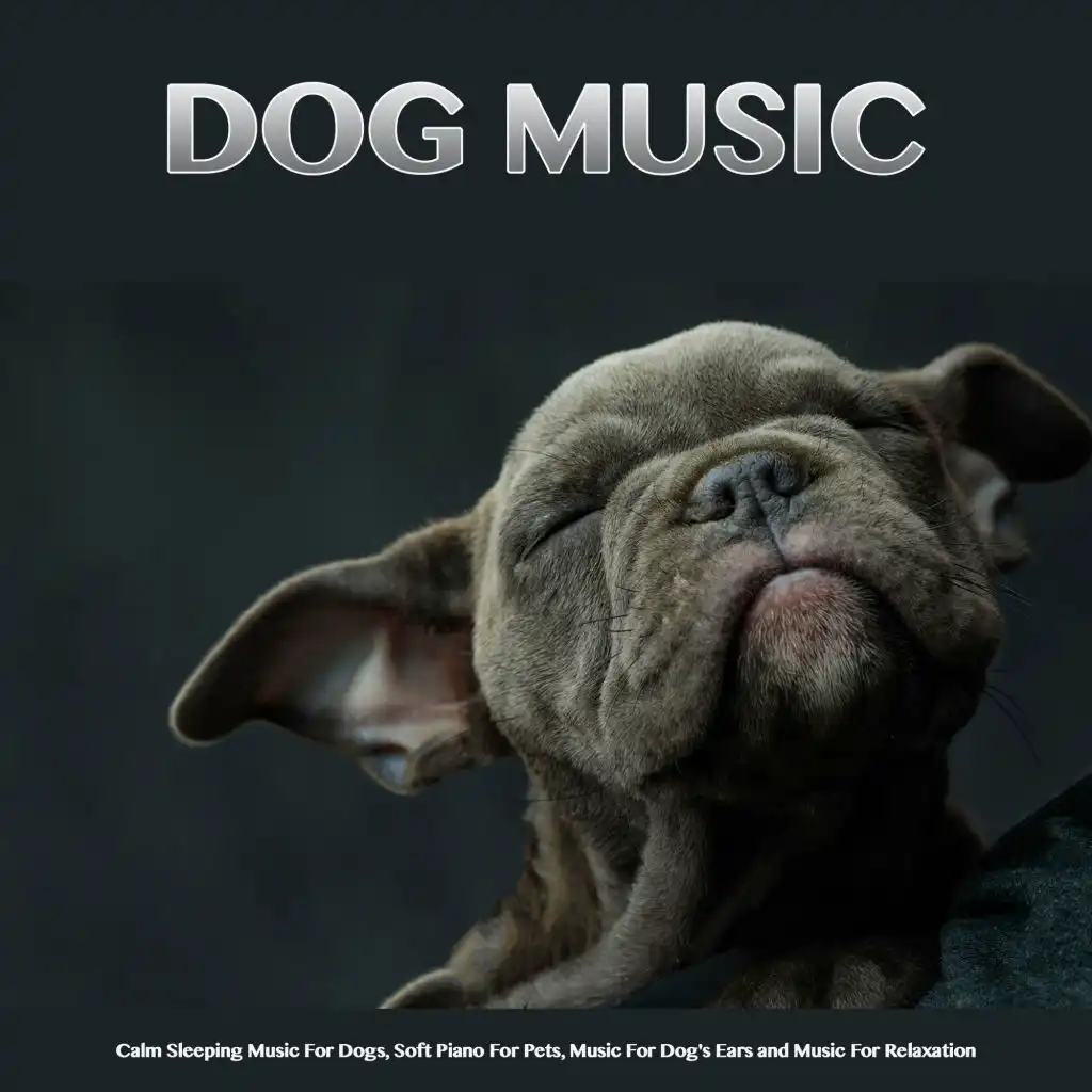 Dog Music: Calm Sleeping Music For Dogs, Soft Piano For Pets, Music For Dog's Ears and Music For Relaxation