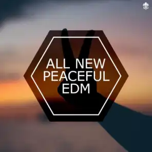 All New Peaceful EDM
