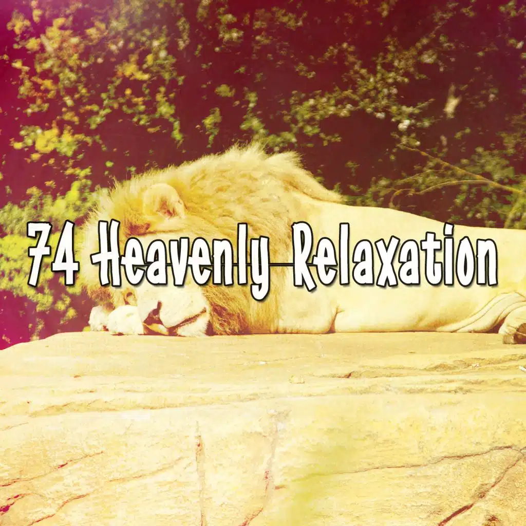 Nicht noch einmal (Fox Edition)