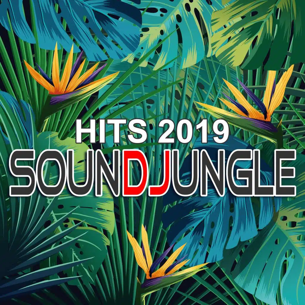 Don't Be Afraid of the Dark (Michael Kruse & Chris Cowley Discothèque Radio Edit)