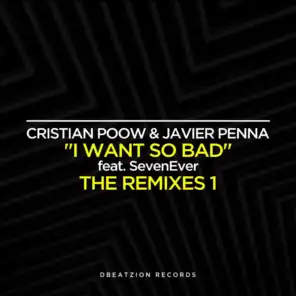 I Want So Bad (The Remixes)