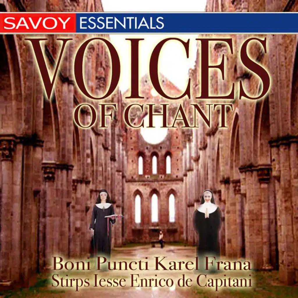 Voices Of Chant