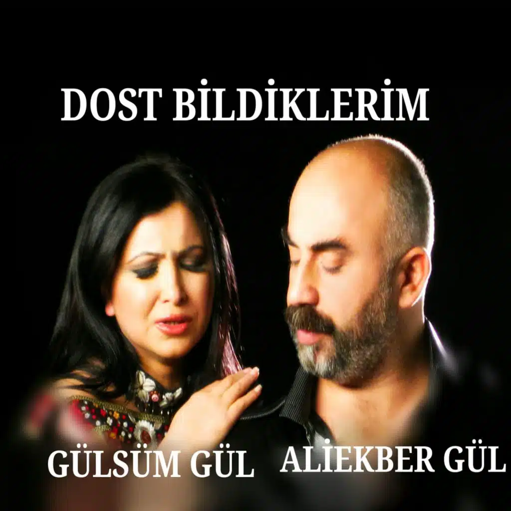 Dost Bildiklerim (feat. Gülsüm Gül)