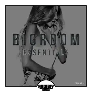 Bigroom Essentials, Vol. 1