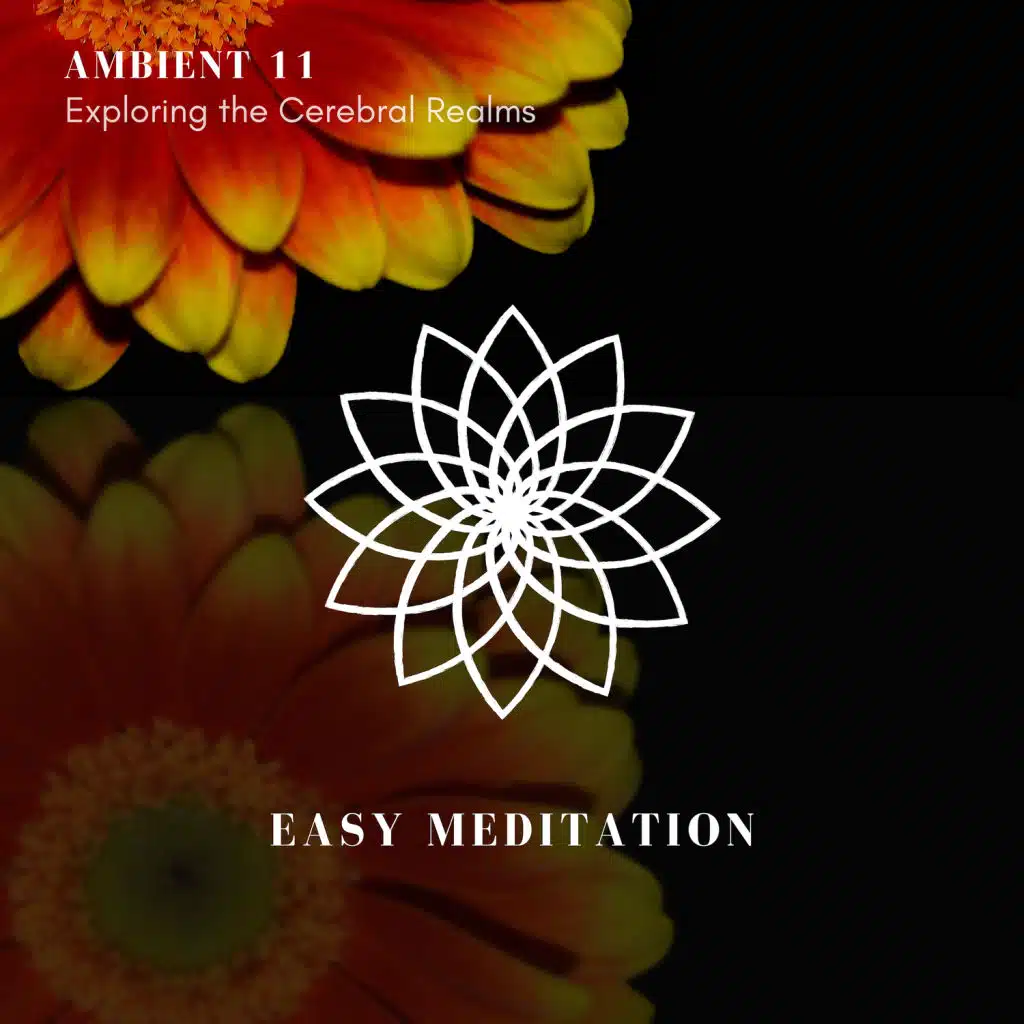 Exploring The New Realm