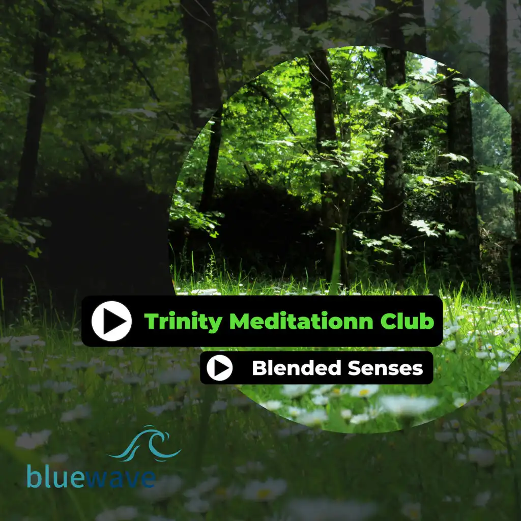 Mystical Guide, Trinity Meditationn Club