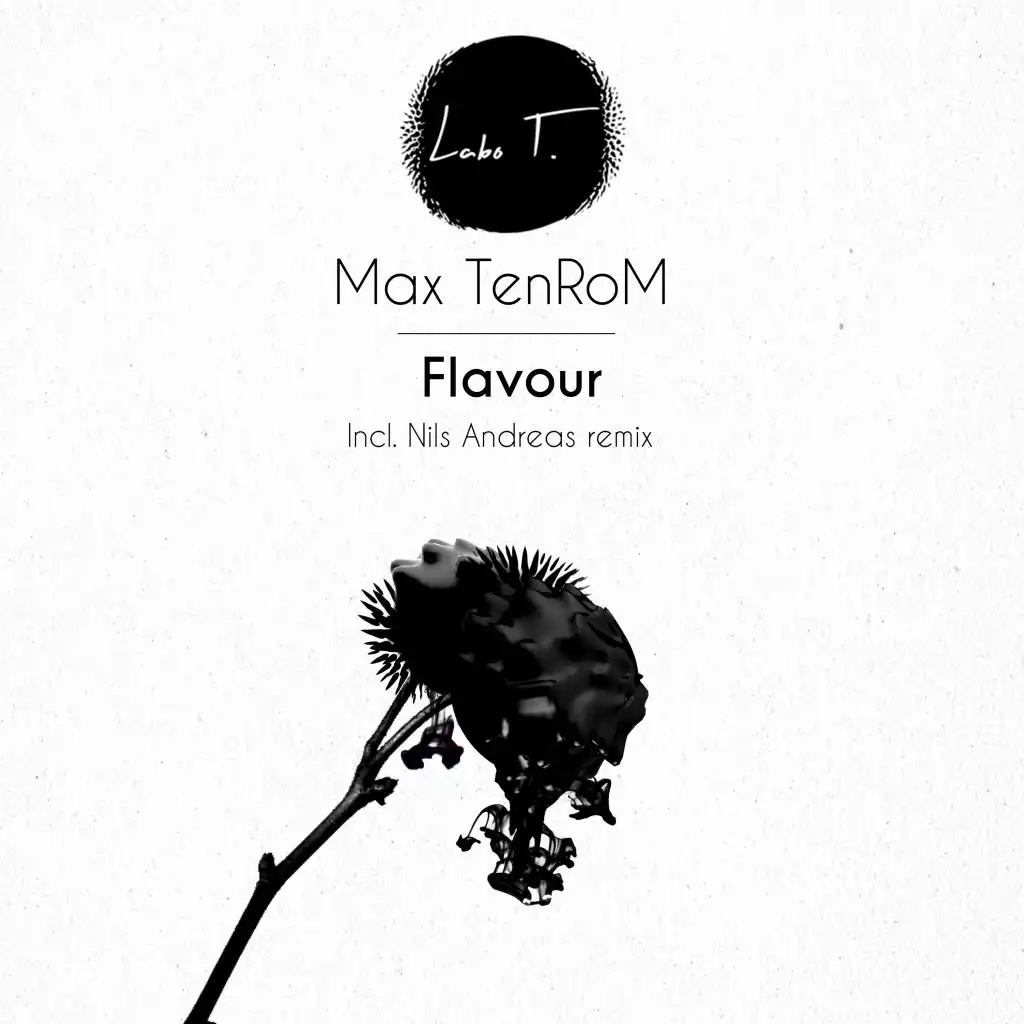 Flavour (Nils Andreas Remix)