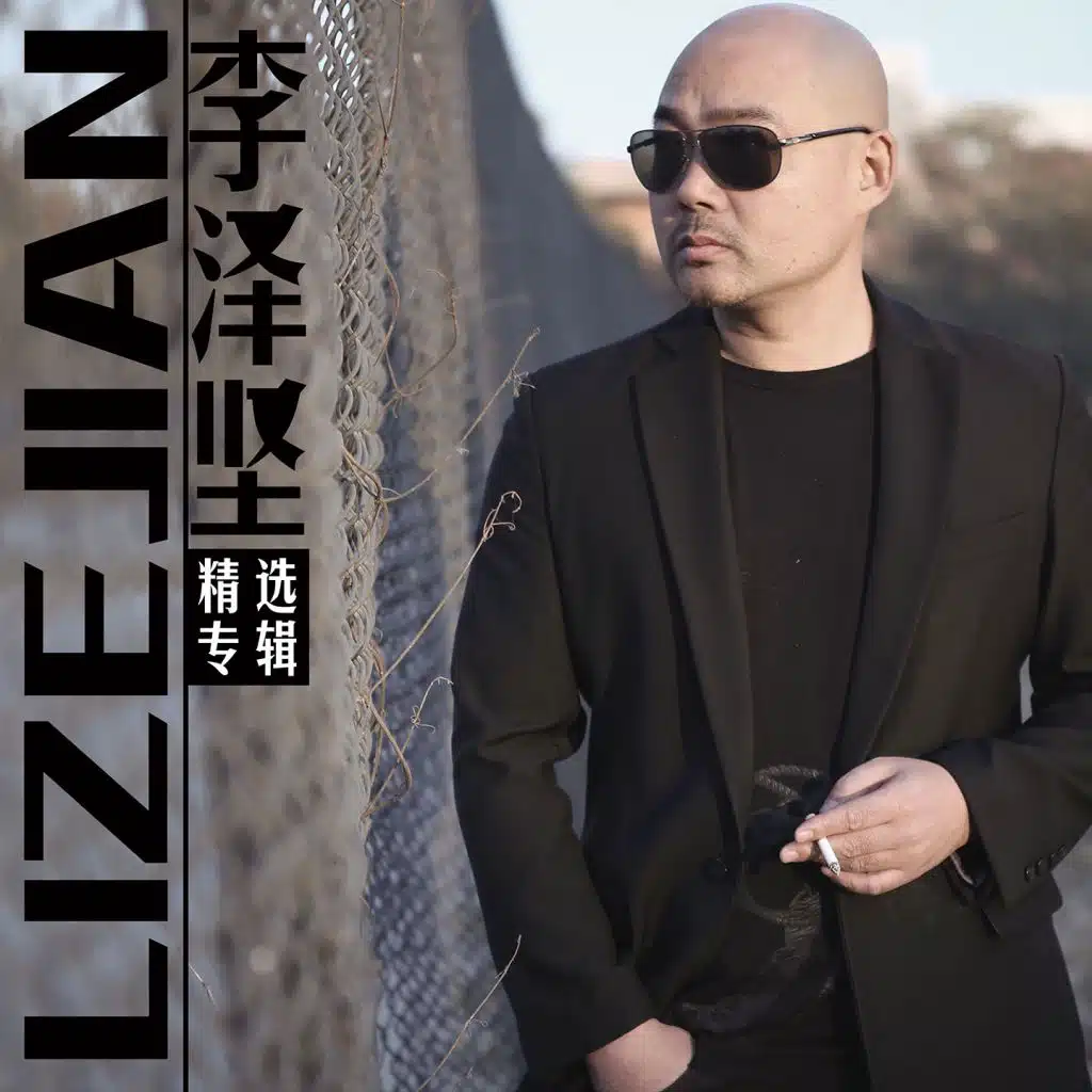 李泽坚精选专辑