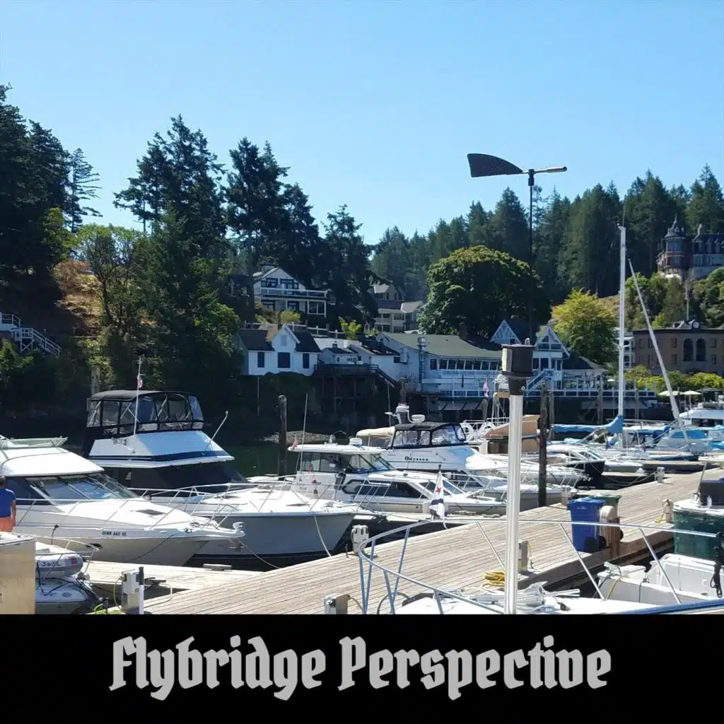 Flybridge Perspective