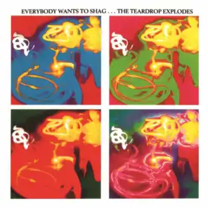 Everybody Wants To Shag... The Teardrop Explodes