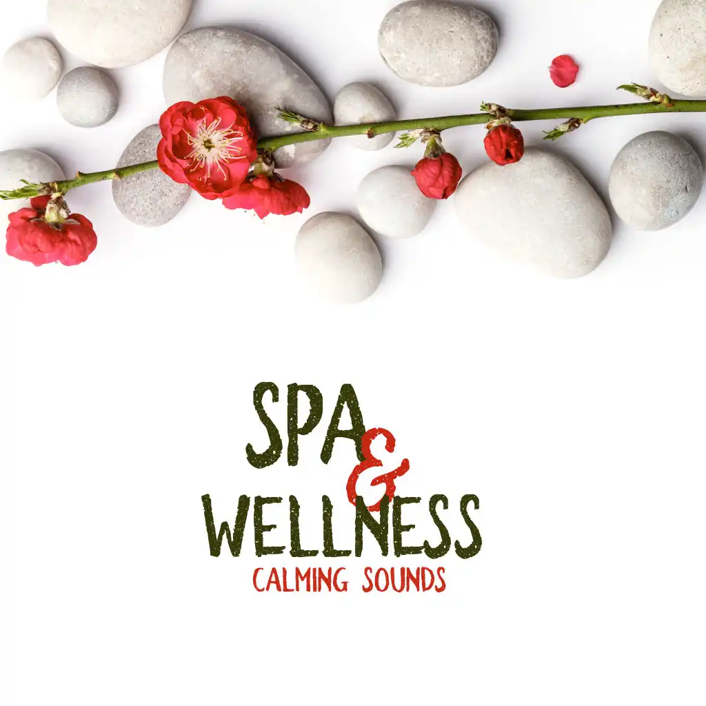 Spa & Wellness Calming Sounds: 15 New Age Songs for Total Relaxation at Spa Salo, Massage Background Music, Hot Bath, Sauna Session