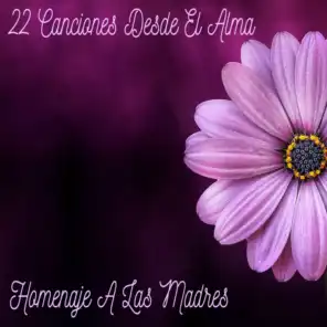 Homenaje a las Madres (22 Canciones Desde el Alma)