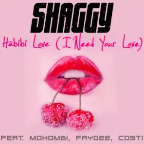 Habibi Love (I Need Your Love) [feat. Mohombi, Faydee & Costi]