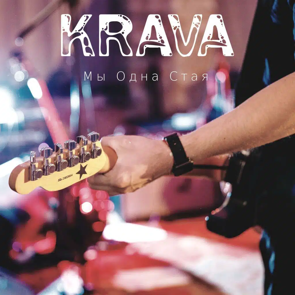 Мы одна стая