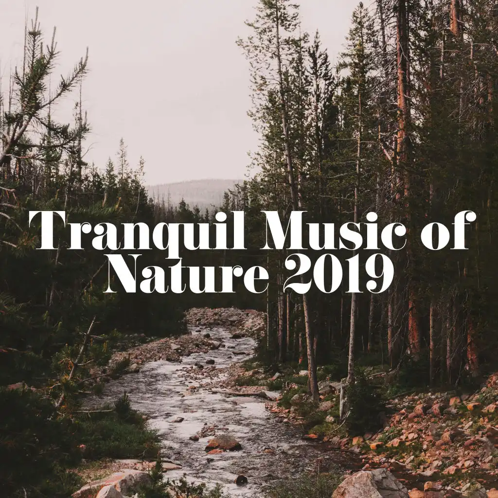 Tranquil Music of Nature 2019