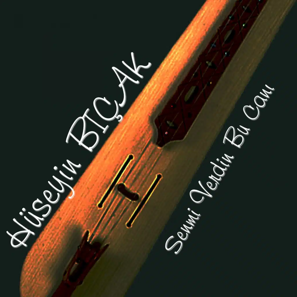 Sen Mi Verdin Bu Canı