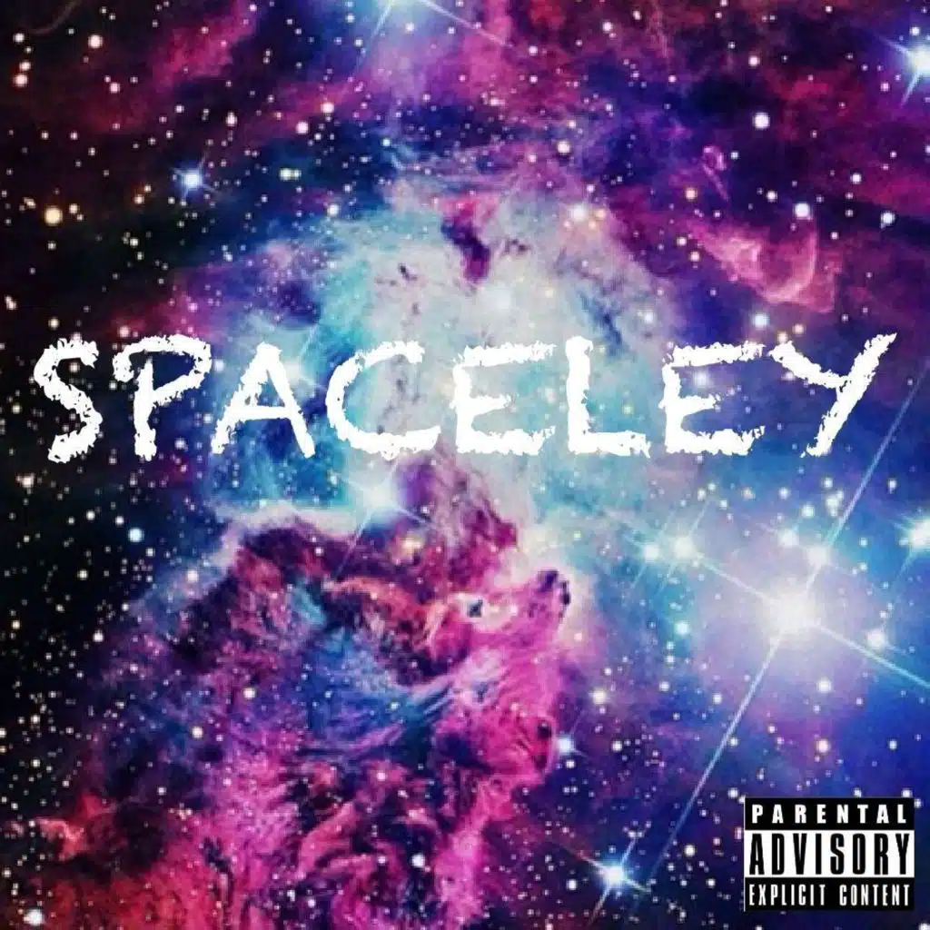Spaceley