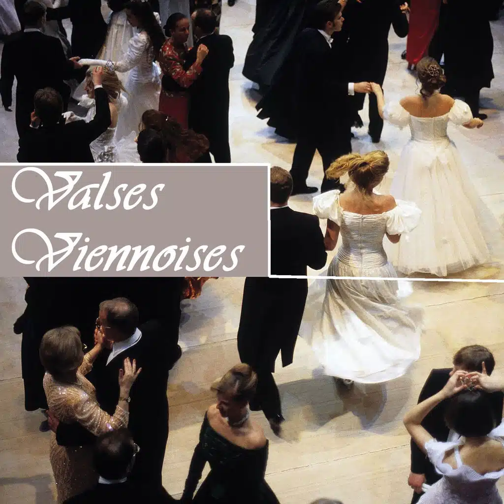 Sinfonietta Orchestra Vienna, Olivier Hecho